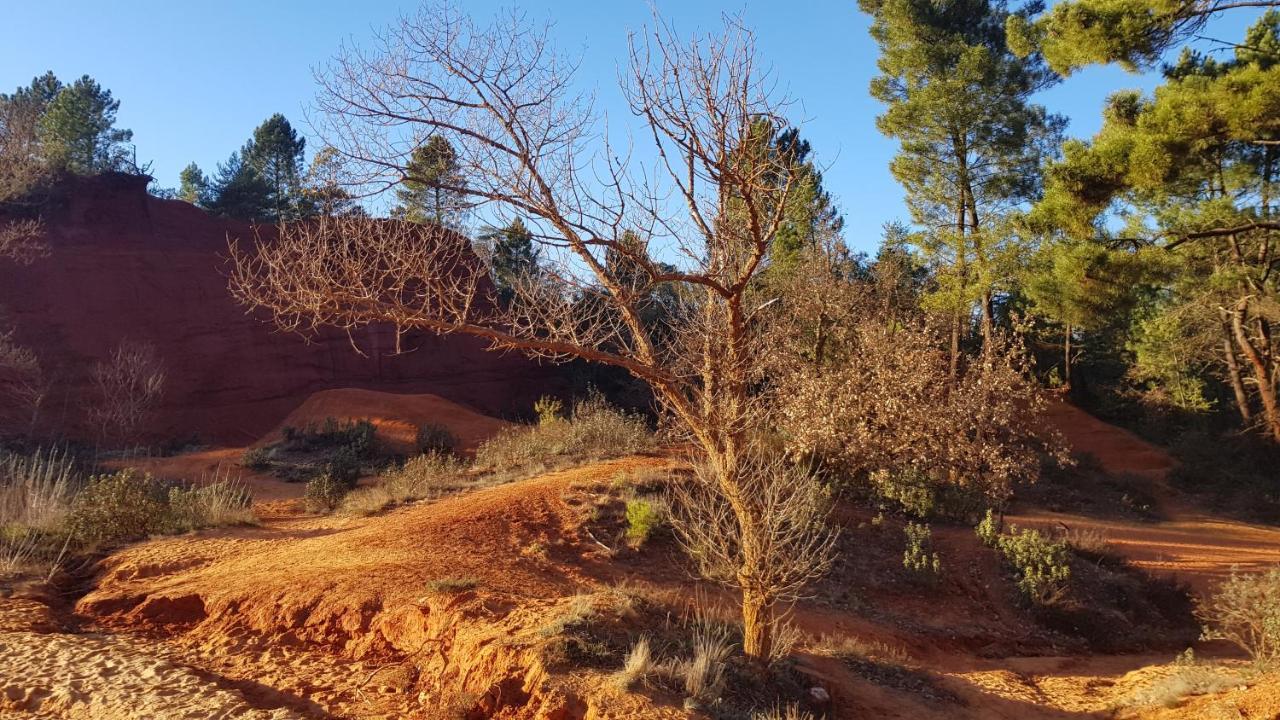 Gite Hanna En Luberon - Le Boisset De St Martin De Castillon Saint-Martin-de-Castillon Esterno foto