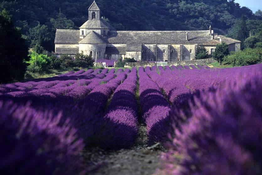 Gite Hanna En Luberon - Le Boisset De St Martin De Castillon Saint-Martin-de-Castillon Esterno foto